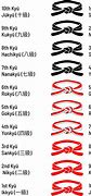 Image result for All Karate Belts in Order