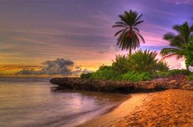Image result for Outdoor Beach Background Image