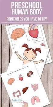 Image result for Preschool Human Body Printables