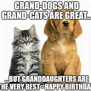Image result for Happy Birthday Meme for Granddaughter