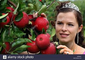 Image result for Apples Are Fruits