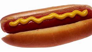 Image result for Biggest Hot Dog in the World