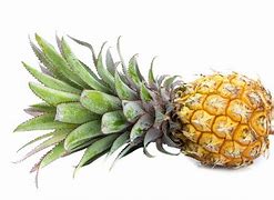 Image result for Pine Apple in White Background