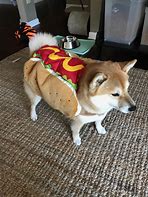 Image result for Halloween Doggo