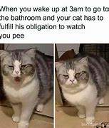 Image result for Cat Meme Template