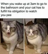 Image result for Picture of Happy Cat Meme