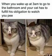 Image result for Cat Memes Ultra Funny