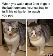 Image result for Cat Meme Icon
