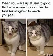 Image result for iFunny Pics