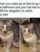 Image result for relatable memes