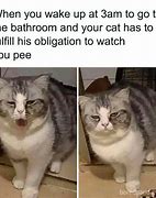 Image result for Aesthetic Funny Pics