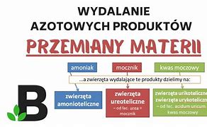 Image result for co_to_za_zwierzęta_urykoteliczne