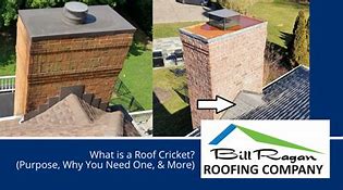 Image result for Roof Cricket
