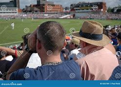 Image result for Man Following Crickets