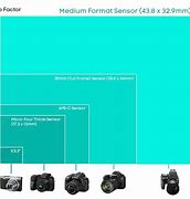 Image result for iPhone 15 Camera Sensor Size