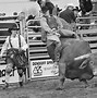 Image result for Rodeo Bunny