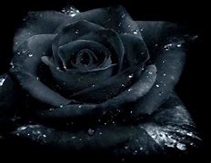 Image result for Gothic Moon Rose Wallpaper