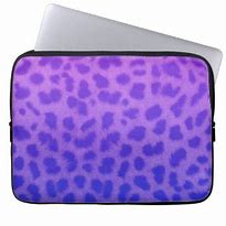 Image result for San Francisco Furry Cases
