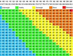 Image result for BMI Scales
