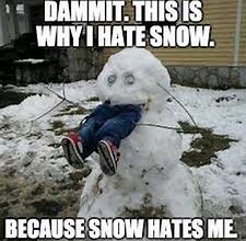 Image result for Friday Snow Meme