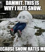 Image result for Haters Gonna Hate Snow Meme