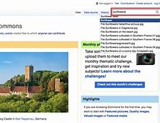 Image result for Wiki Commons Images Search