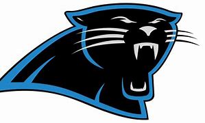 Image result for Palmetto Panthers Football Logo