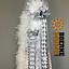 Image result for Homecoming Mums Kentucky