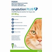 Image result for Revolution Spot On for Cats