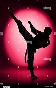 Image result for Karate Kick to Face