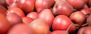 Image result for IPS Fruits