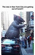 Image result for Only in New Yor Rat Meme