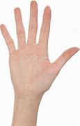Image result for Counting Fingers PNG