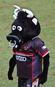 Image result for Bull Mascot Costume