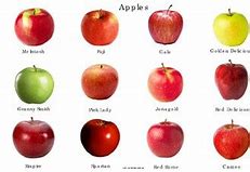 Image result for Apple Poster Color