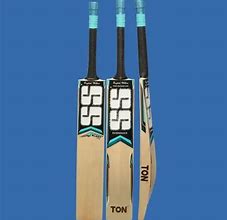 Image result for Kashmir Willow Cricket Bat