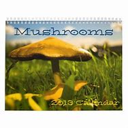 Image result for Calendar 1980 Mushrooms