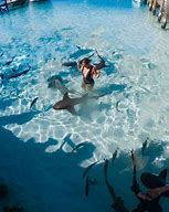 Image result for Swimming with Sharks Bahamas
