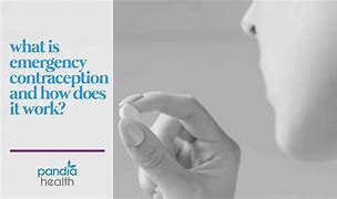 Image result for Emergency Contraception