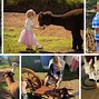 Image result for Maui Hawaii Activities