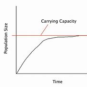 Image result for Carrying Capacity