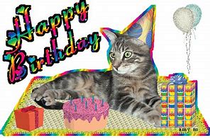 Image result for Funny Birthday Tortoiseshell Cat