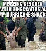 Image result for Hurricane Irma Memes