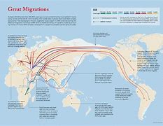 Image result for Migration Routes Map