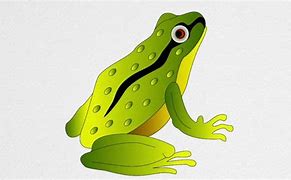 Image result for How to Draw a Cool Frog
