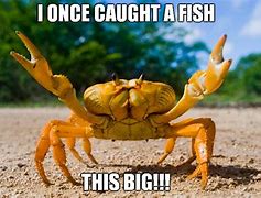 Image result for Funny Crab Memes