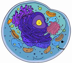 Image result for Cell Wall Cartoon Drawing
