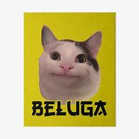 Image result for Beluga Cat PFP 1080X1080