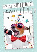 Image result for Funny Happy Birthday Crazy Friend