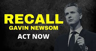 Image result for Gavin Newsom Recall Petition Form